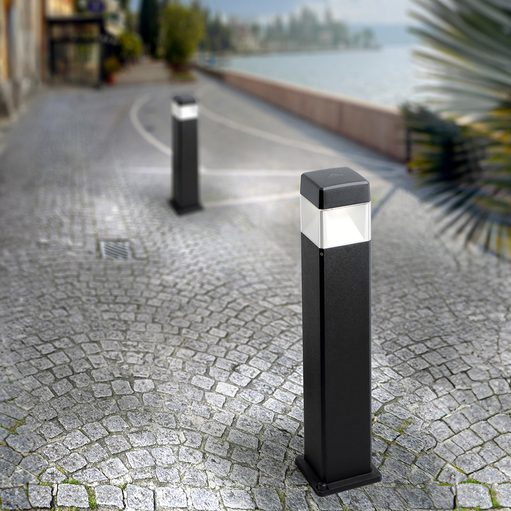 ELISA (BOLLARD)