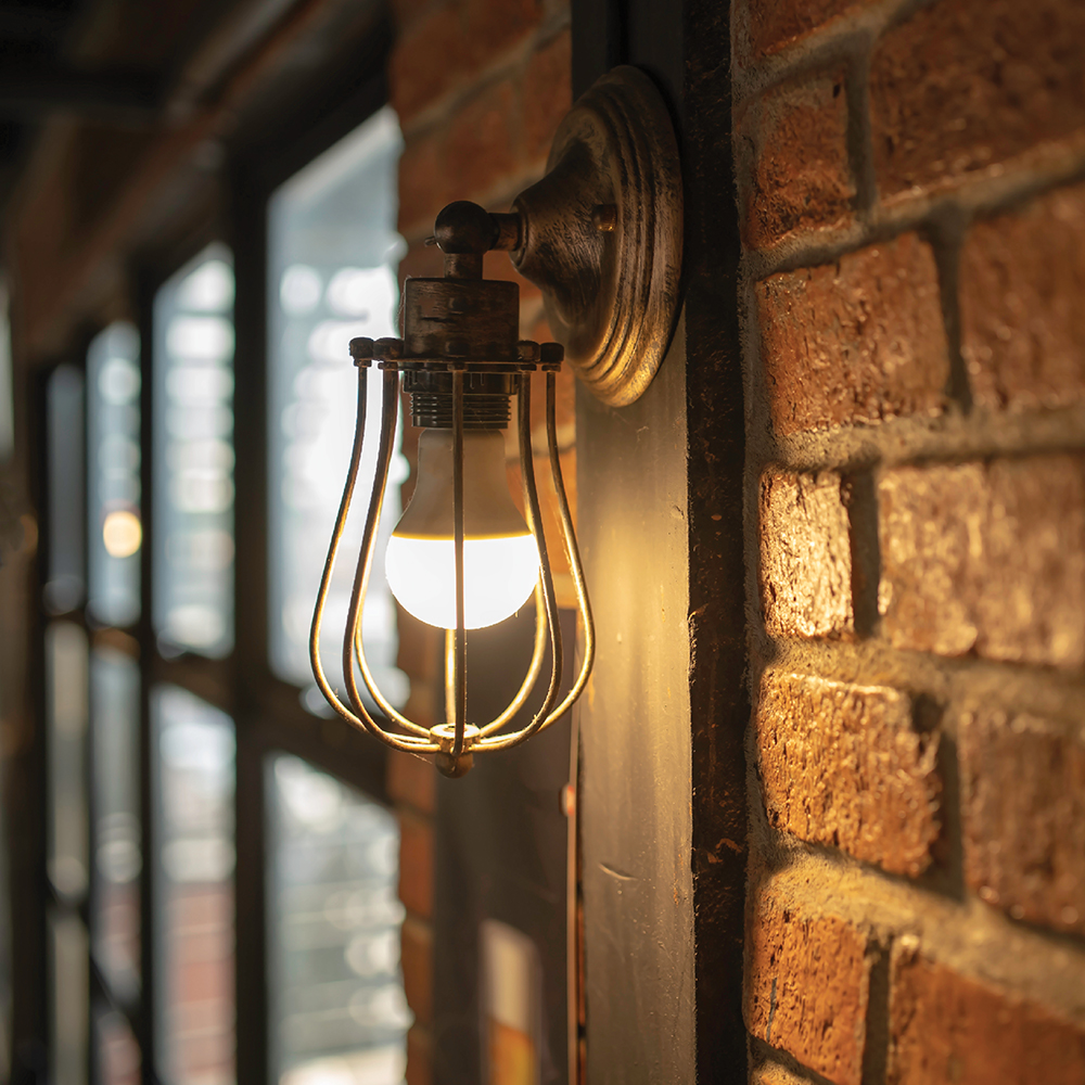 BULB LED E27 7.5W 3K/6.5K 220V A60 2STP