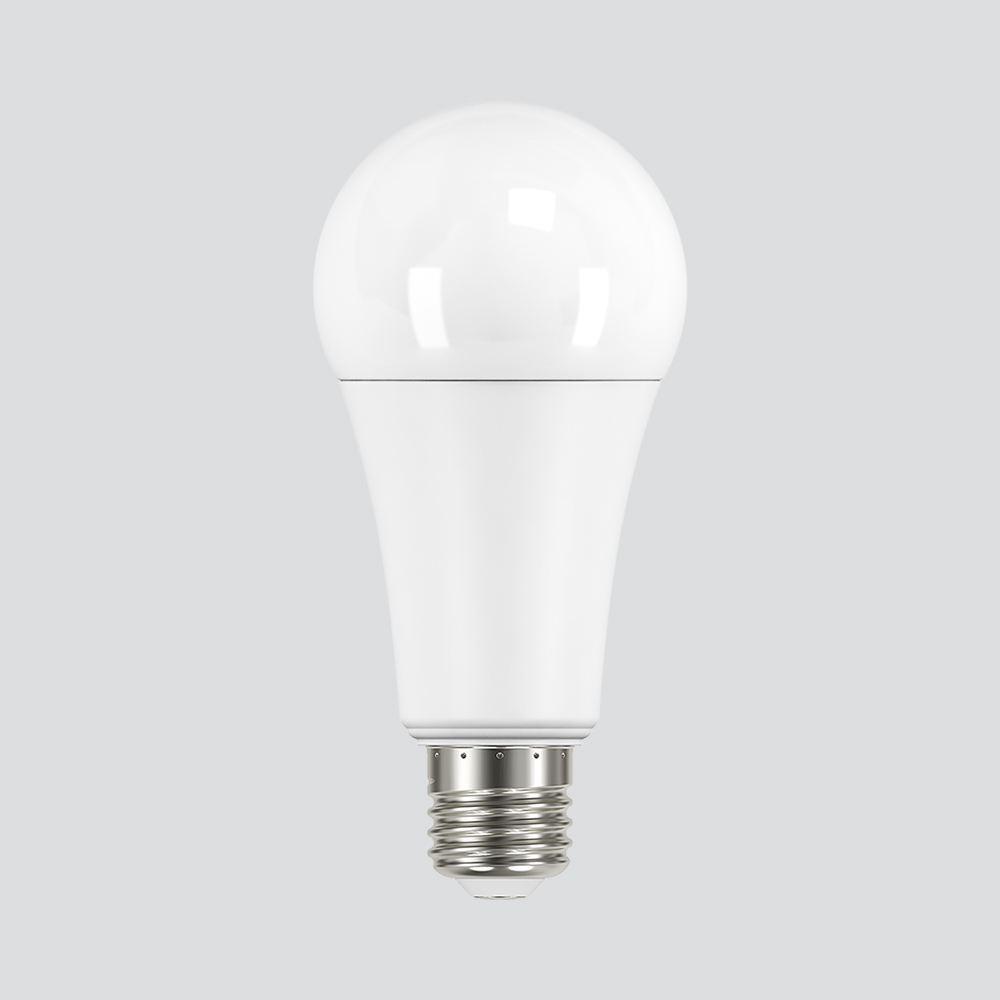 BULB LED E27 19W 6500K 220V A67 PC