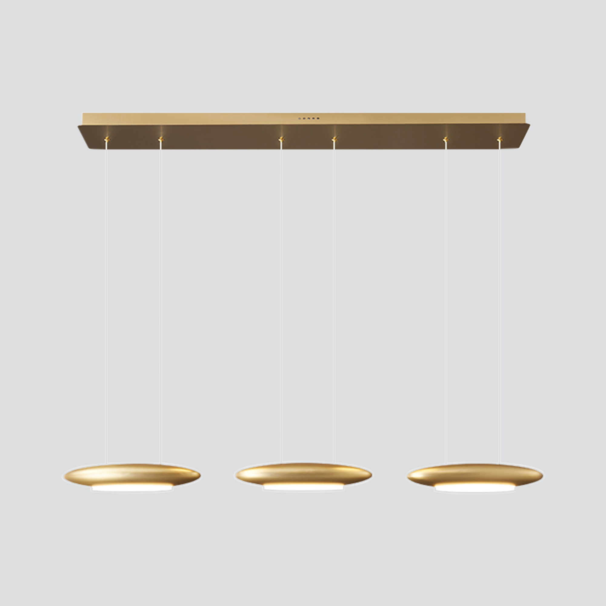 PENL-S INT-24W-LED 1200*110mm CONCHAL